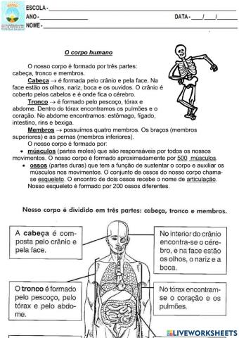 O CORPO HUMANO