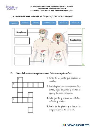 Examen ciencias