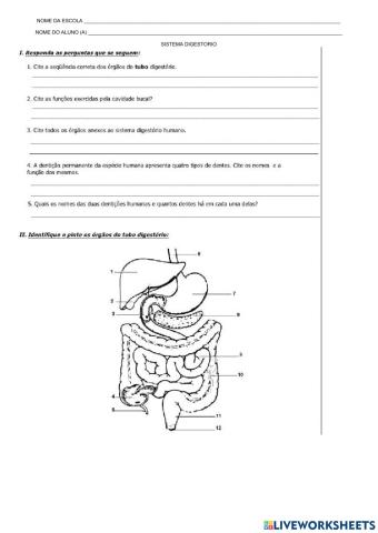 Sistema DIGESTÓRIO