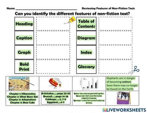 Text Features