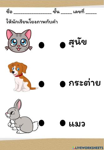 อนุบาล