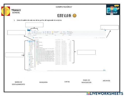 Computación 6°