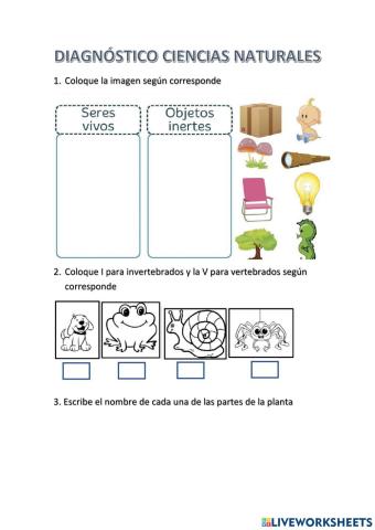 Diagnóstico de Naturales