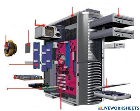 Partes Internas del Ordenador - E2