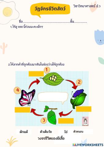 วัฏจักรชีวิตสัตว์