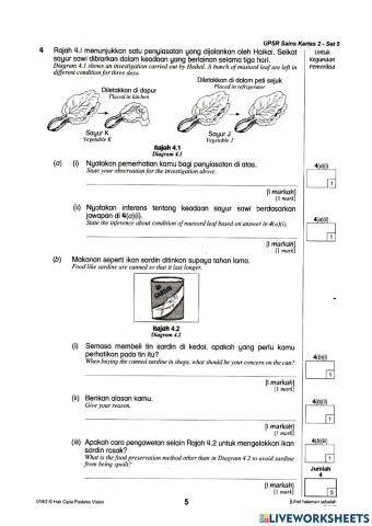 Kertas 2 UPSR 5B