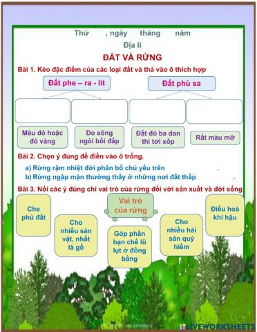 Đất và rừng