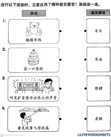 二年级科学  科学技能