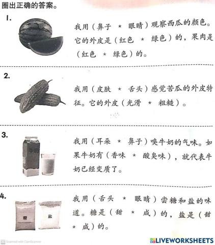 二年级科学  科学技能