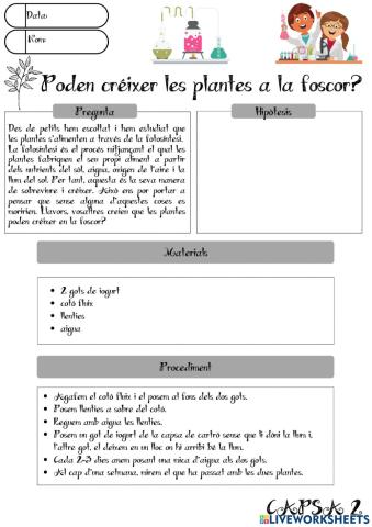 Capses d'investigació 6è: Poden créixer les plantes a la foscor