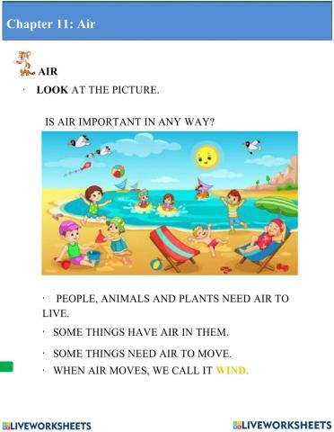 Air: Interactive worksheet