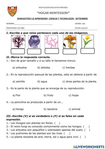 Evaluación ciencia y tecnologia - set