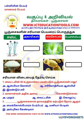 Std 8 science plant kingdom fungi tamil med