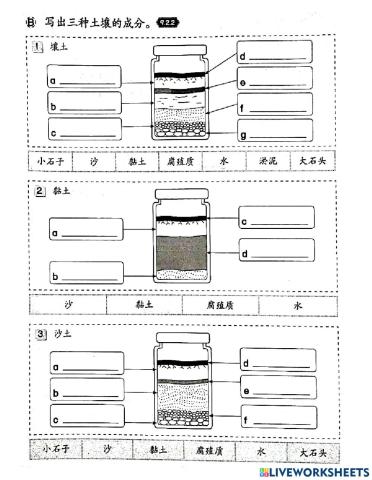 一年级科学 土壤的成分