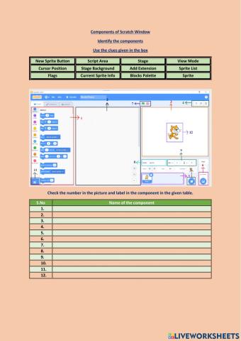 Components of Scratch Window