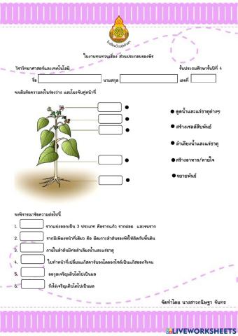 ส่วนประกอบของพืช