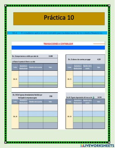 Ciclo Contable 10