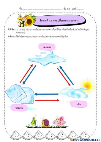 วิทยาศาสตร์ ป.5 เรื่อง การเปลี่ยนสถานะของสาร
