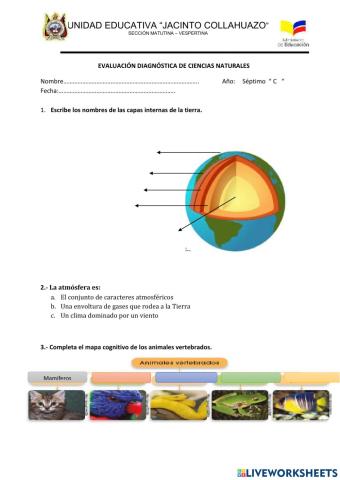 Evalucación diagnóstica CCNN