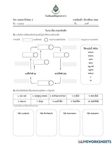 Kingdom Plantae