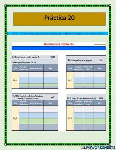 Ciclo Contable 20