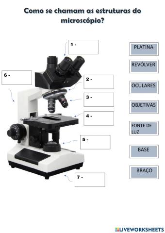 Microbiologia