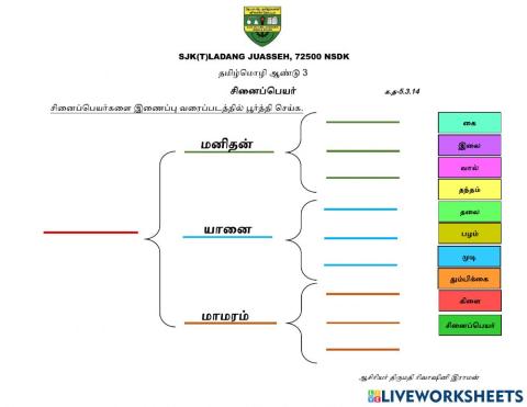 சினைப்பெயர்