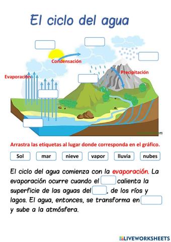 El ciclo del agua