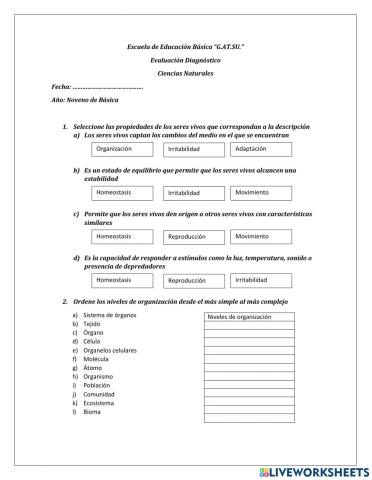 evaluación diagnóstica ccnn 9no