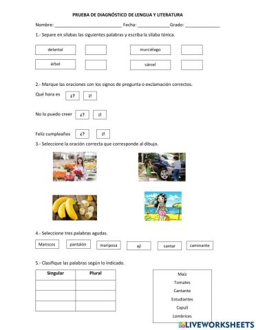 Diagnóstico lengua y literatura 4