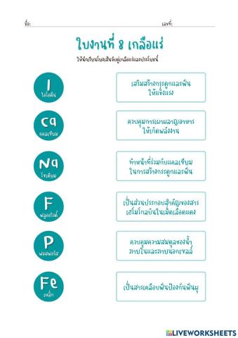 ใบงานที่ 8 เกลือแร่