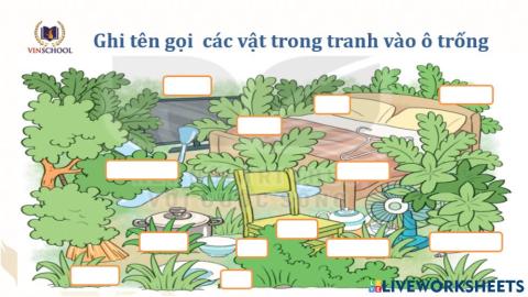 Từ chỉ sự vật, hoạt động-Câu nêu hoạt động