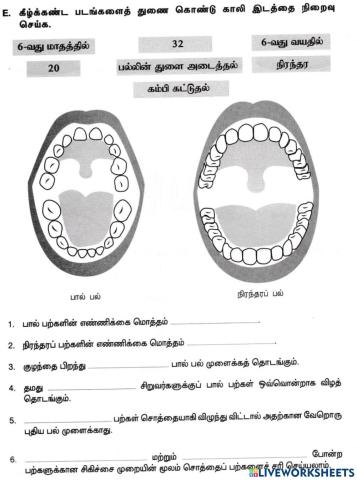 பால் பற்கள்- நிரந்தர பற்கள்