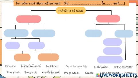 การลำเลียงสาร