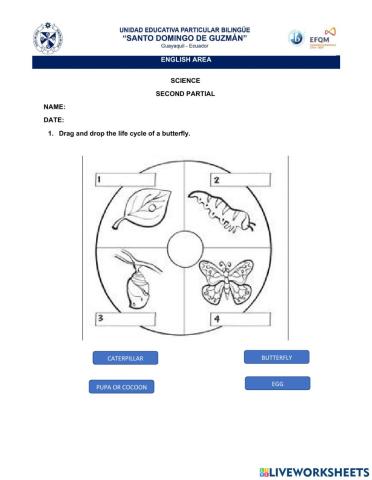 Science quiz