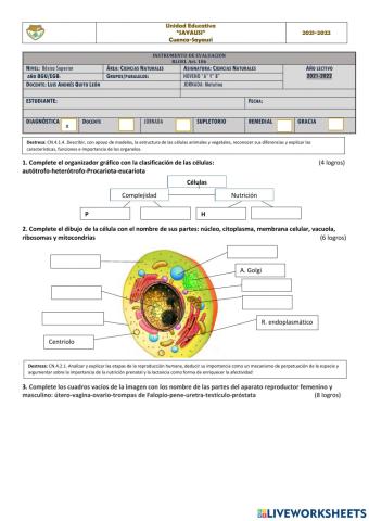 Prueba de Diagnóstico de Ciencias Naturales 9