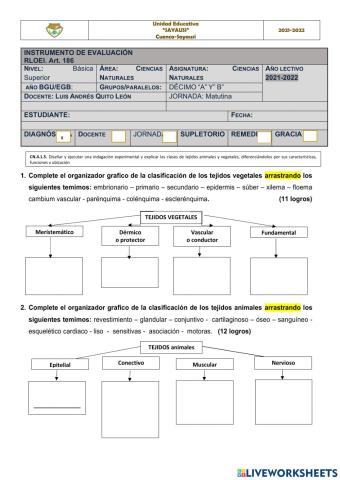 Prueba de Diagnóstico de Ciencias Naturales 10