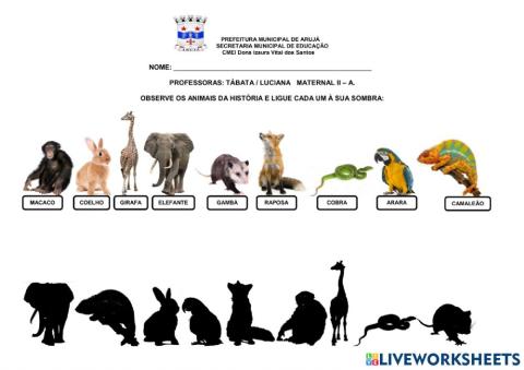 Ligue os pares dos animais