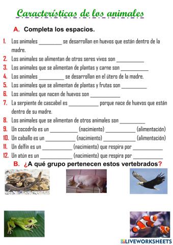 CARACTERÍSTICAS DE LOS ANIMALES