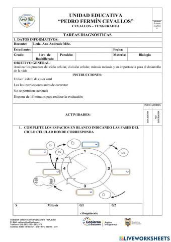 Tarea diagnostica