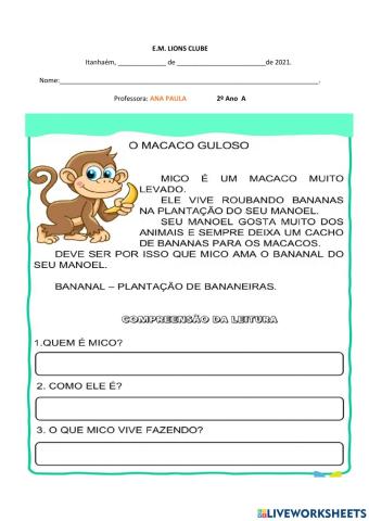 Leitura e interpretação macaco