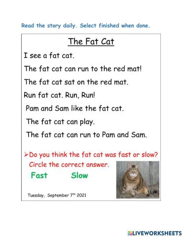 The fat cat