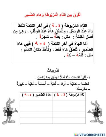 الفرق بين التّاء المربوطة وهاء الضّمير