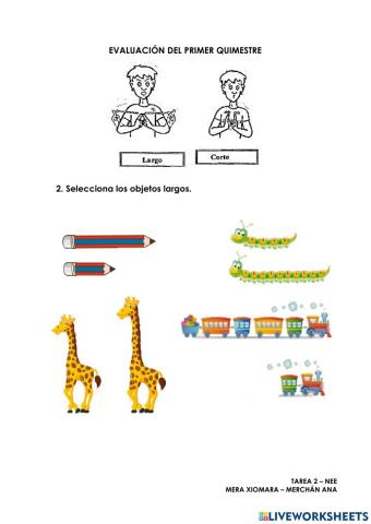 Evaluación de Primer Quimestre