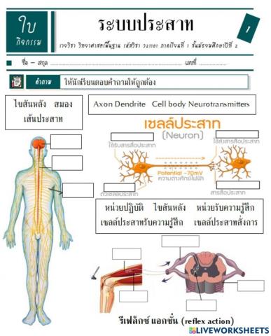 ม.2 ว 1.2-2.4