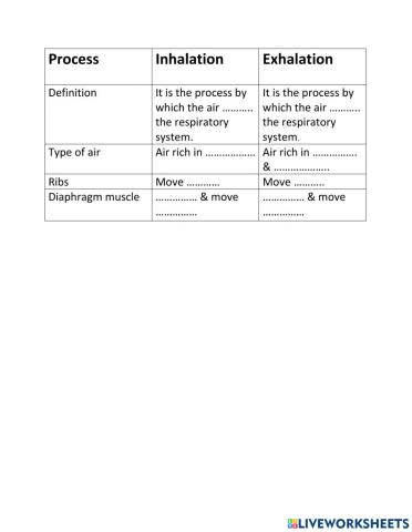 Mechanism of respiration