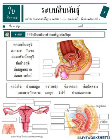 ม.2-ว 1.2 2-12