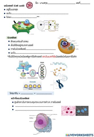 2.2cell