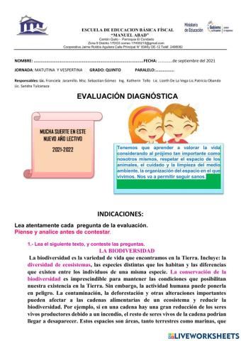 Prueba diagnóstica