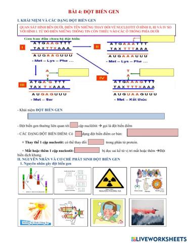 Bài 4.sinh12. đột biến gen